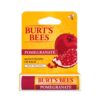Burt's-Bees-Moisturizing-Lip-Balm-Pomogrenate-4.25g. deeptot